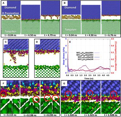 Atomistic Insights Into Lubricated Tungsten/Diamond Sliding Contacts